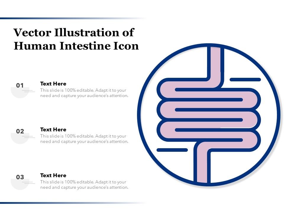 Vector_Illustration_Of_Human_Intestine_Icon_Ppt_PowerPoint_Presentation_Infographics_File_Formats_PDF_Slide_1.jpg