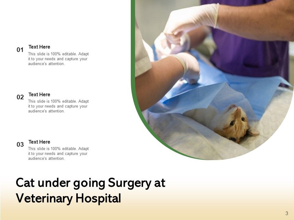 Veterinarian Doctor Examines Ppt PowerPoint Presentation Complete Deck