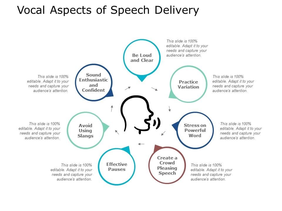 Vocal Aspects Of Speech Delivery Ppt PowerPoint Presentation Portfolio