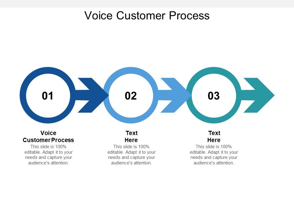 Voice_Customer_Process_Ppt_PowerPoint_Presentation_Icon_Graphics_Tutorials_Cpb_Slide_1.jpg
