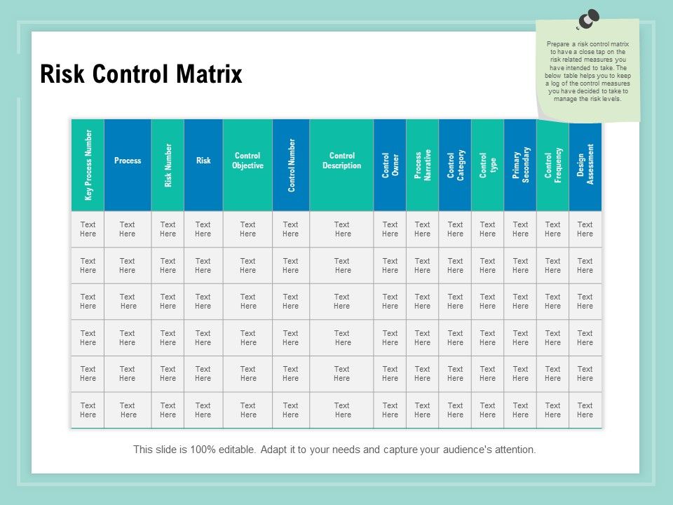 Vulnerability Assessment Methodology Risk Control Matrix Ppt Portfolio ...