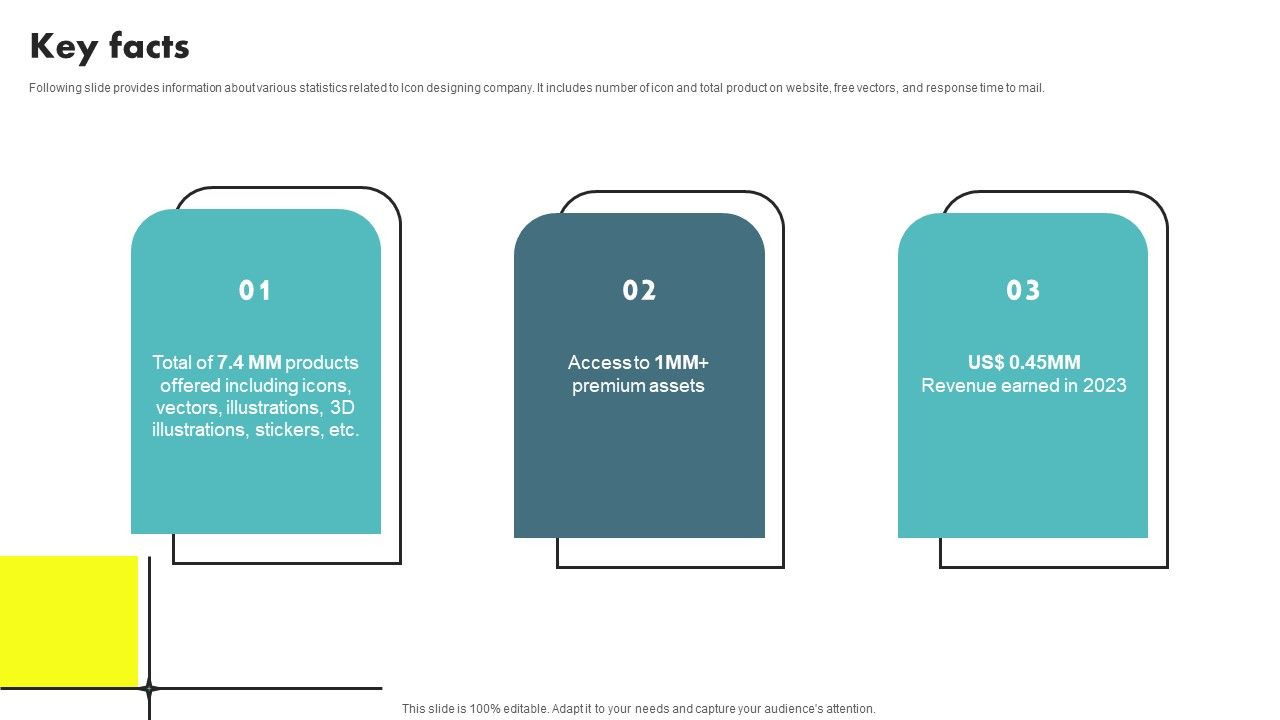Web_Designing_Icon_Investor_Funding_Elevator_Pitch_Deck_Key_Facts_Microsoft_PDF_Slide_1.jpg