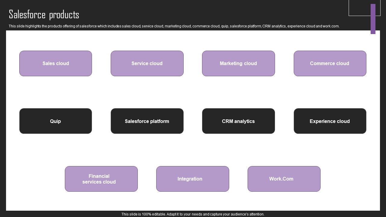 Web_Hosting_Software_Company_Outline_Salesforce_Products_Icons_PDF_Slide_1.jpg