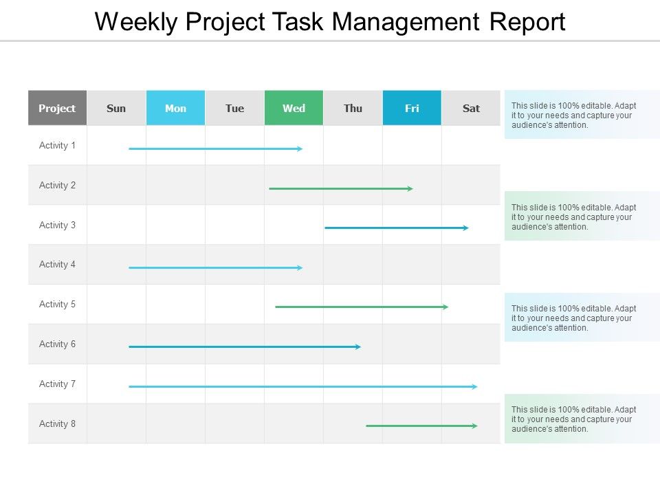 Weekly_Project_Task_Management_Report_Ppt_PowerPoint_Presentation_Icon_Picture_Slide_1.jpg
