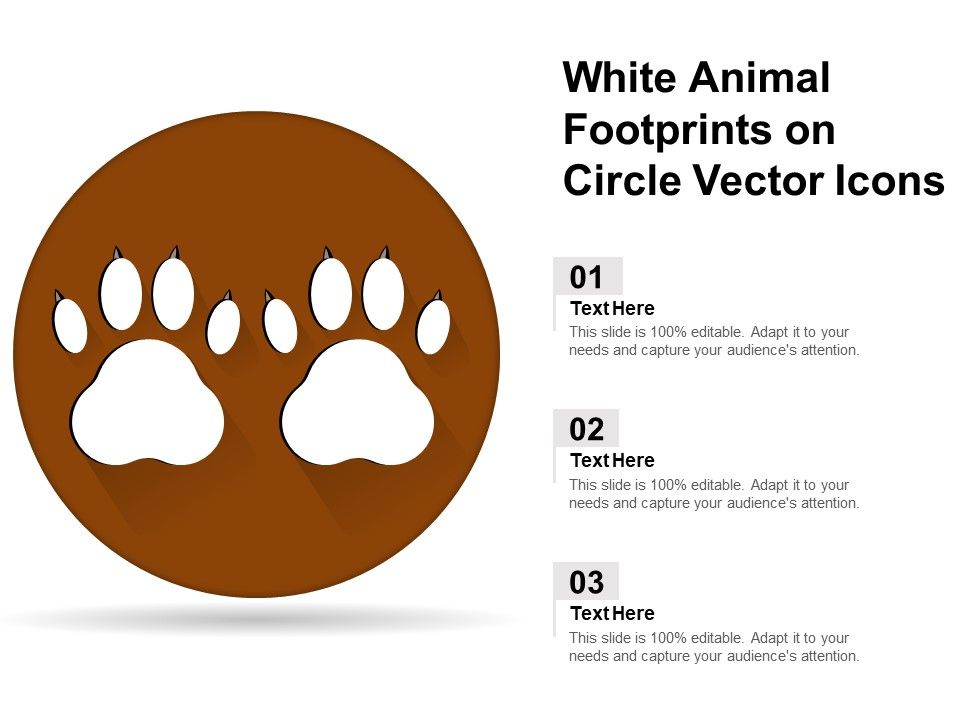 White_Animal_Footprints_On_Circle_Vector_Icons_Ppt_PowerPoint_Presentation_Show_Example_File_PDF_Slide_1.jpg