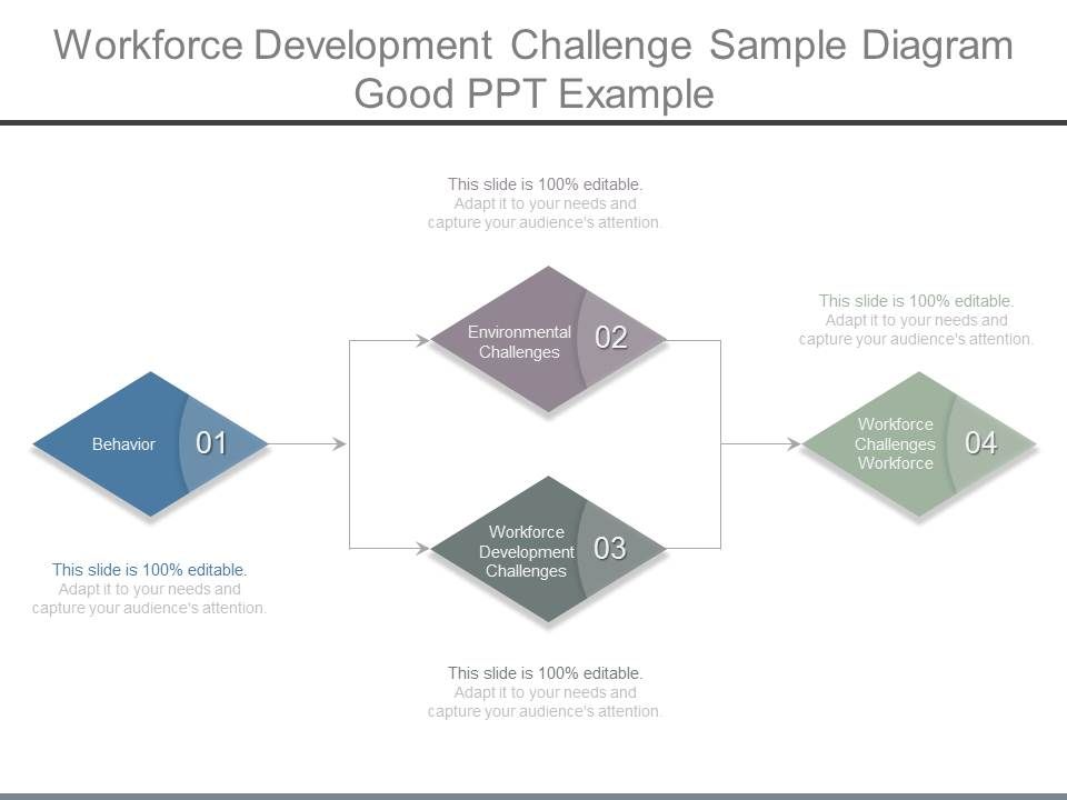 Workforce Development Challenge Sample Diagram Good Ppt Example