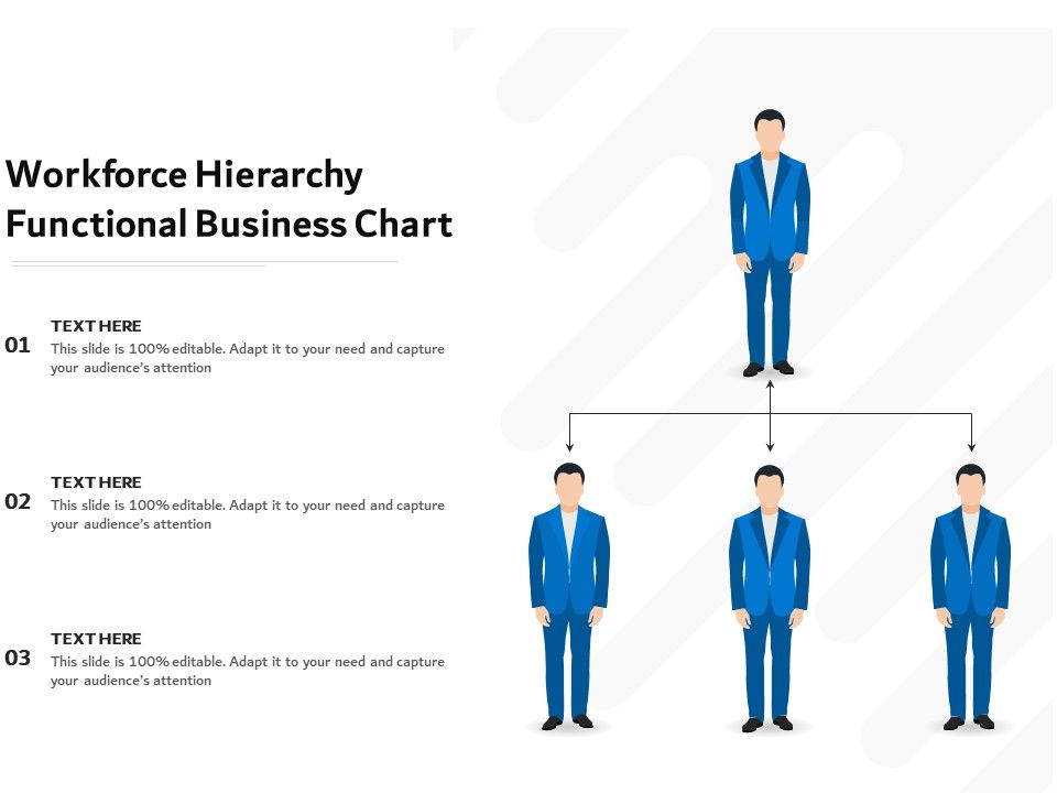 Workforce_Hierarchy_Functional_Business_Chart_Ppt_PowerPoint_Presentation_Gallery_Icons_PDF_Slide_1.jpg