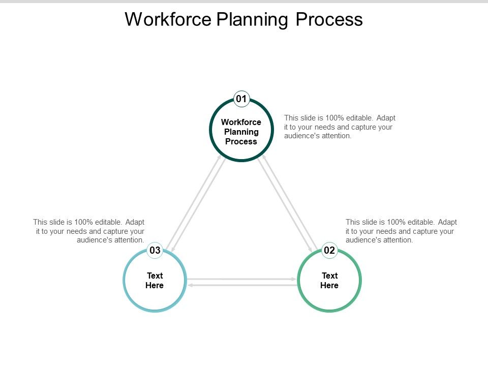 Workforce Planning Process Ppt Powerpoint Presentation Professional ...