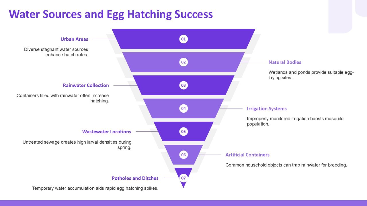 Aedes Egg Development Lifecycle Analysis PPT Slides AT Slide09