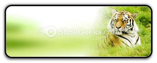 amur_tiger_powerpoint_icon_r.jpg