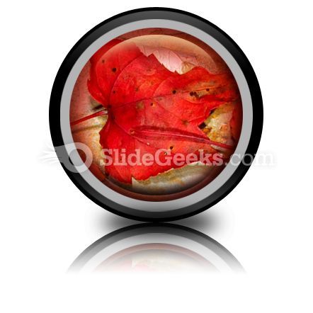 autumn_icon_cc.jpg