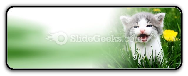 baby_cat_powerpoint_icon_r.jpg