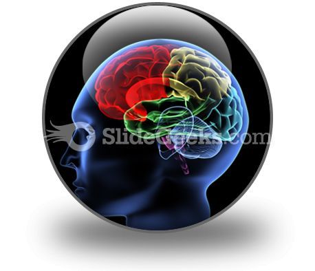 brain_powerpoint_icon_c.jpg