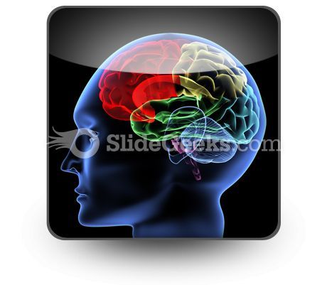 brain_powerpoint_icon_s.jpg