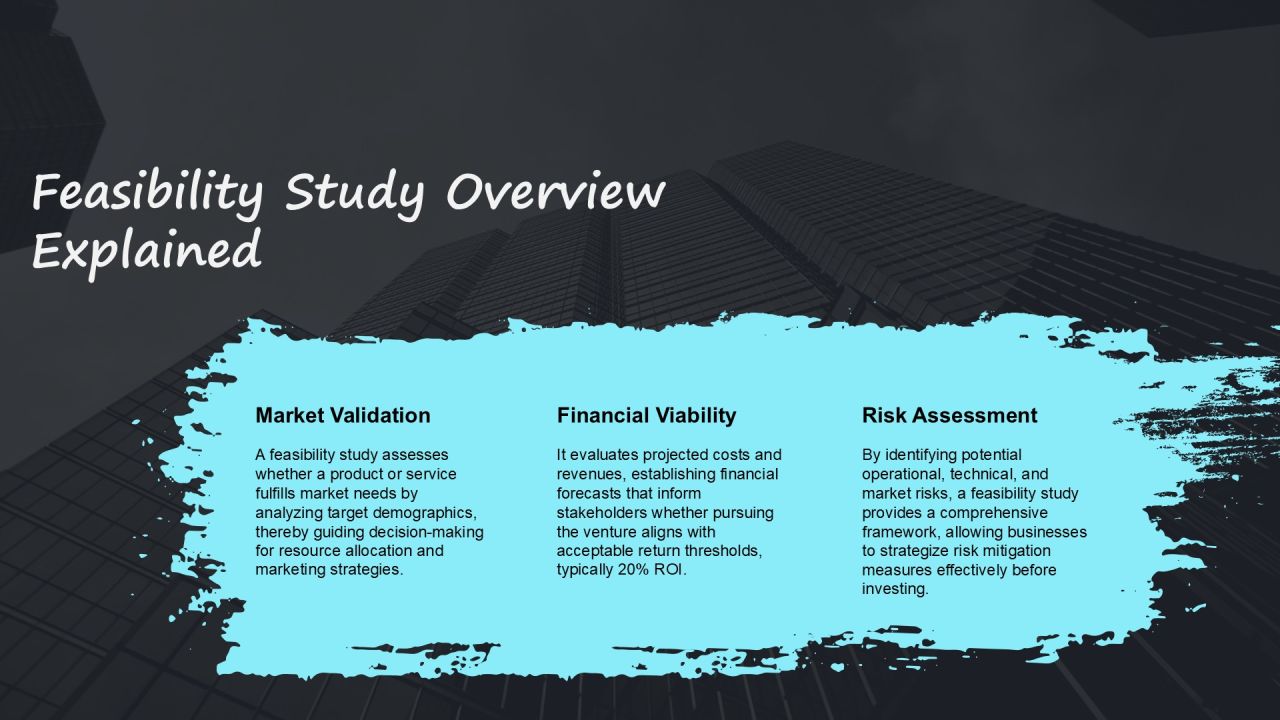 Business Plan Vs Feasibility Study Differences PPT Example AT Slide05