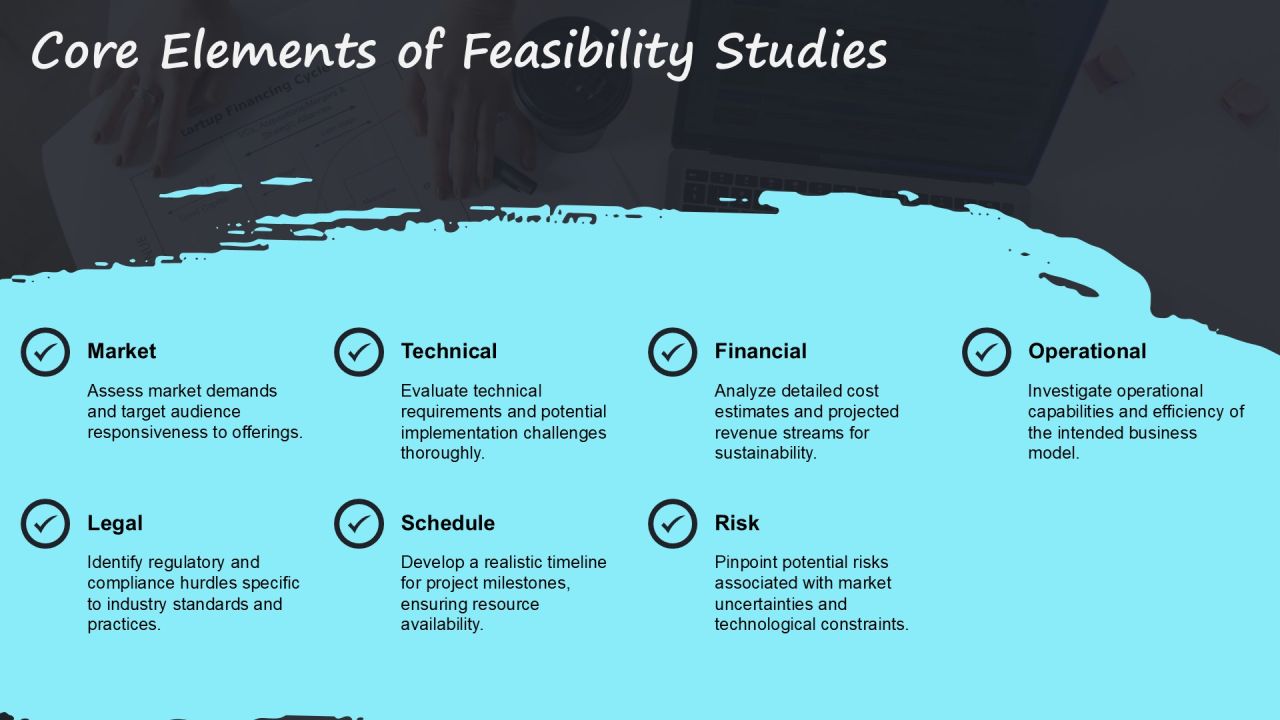 Business Plan Vs Feasibility Study Differences PPT Example AT Slide10