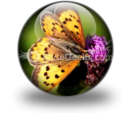 butterfly_powerpoint_icon_c.jpg