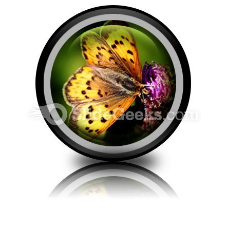 butterfly_powerpoint_icon_cc.jpg