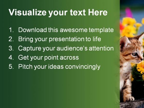 cat-animal-powerpoint-template-0810