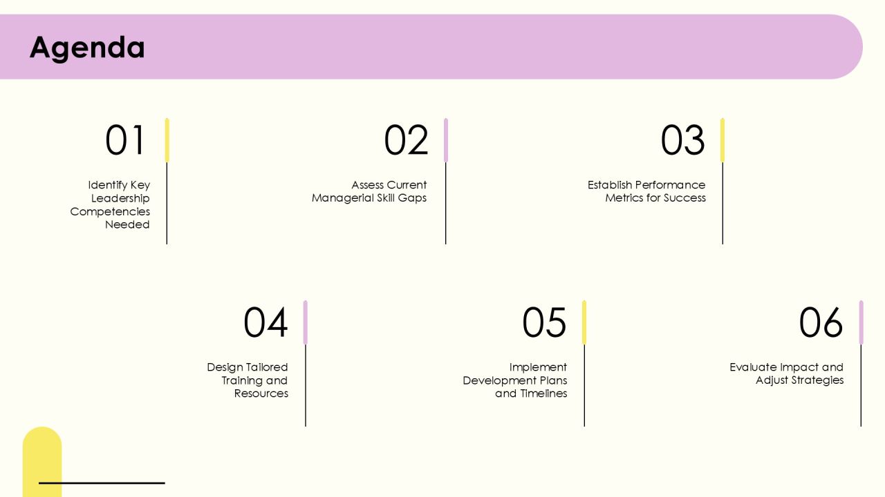 Comprehensive Manager Development Plan Overview PPT Structure AT Slide02