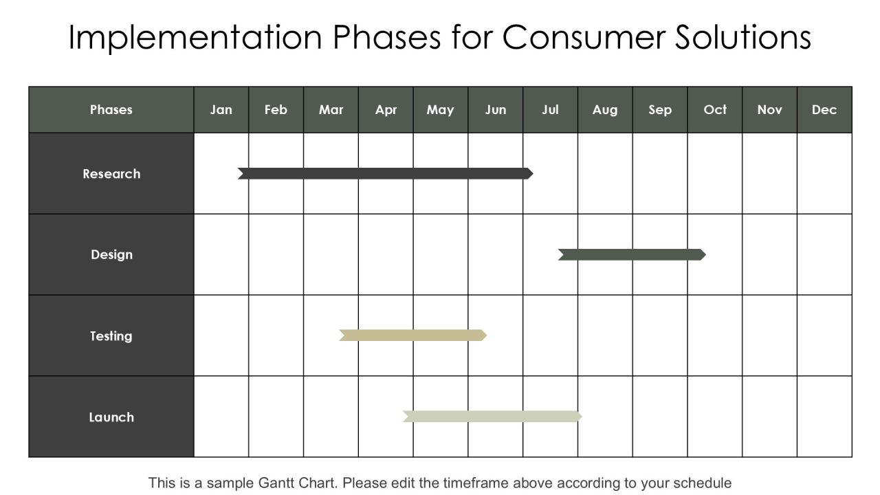 Consumer Solution Development Insights PPT Sample AT Slide20