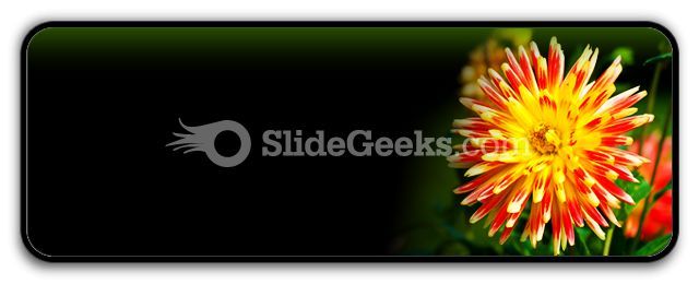 dahlia_beauty_powerpoint_icon_r.jpg