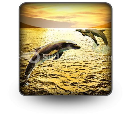 dolphins_powerpoint_icon_s.jpg