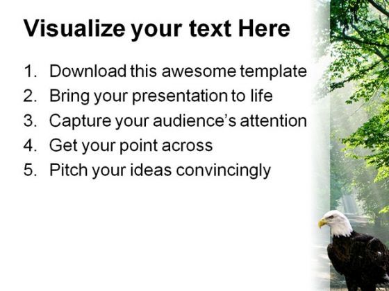 Eagle Animals PowerPoint Template 1010 Slide03
