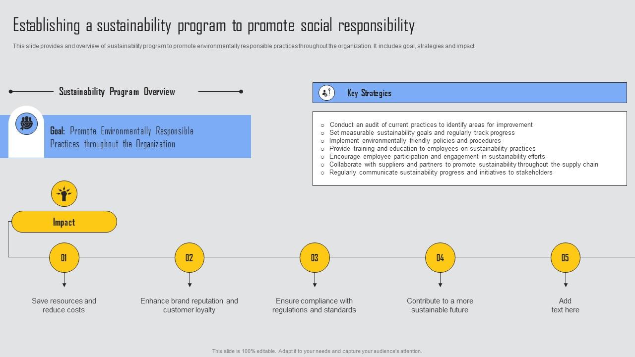 Establishing A Sustainability Program Managing Risks And Establishing Trust Through Efficient Icons Pdf