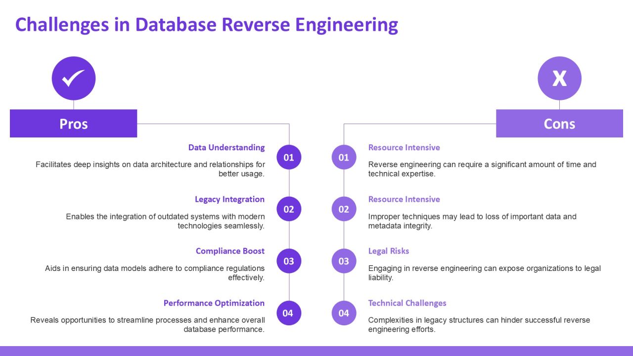 Exploring Database Reverse Engineering Techniques PPT Presentation AT Slide13