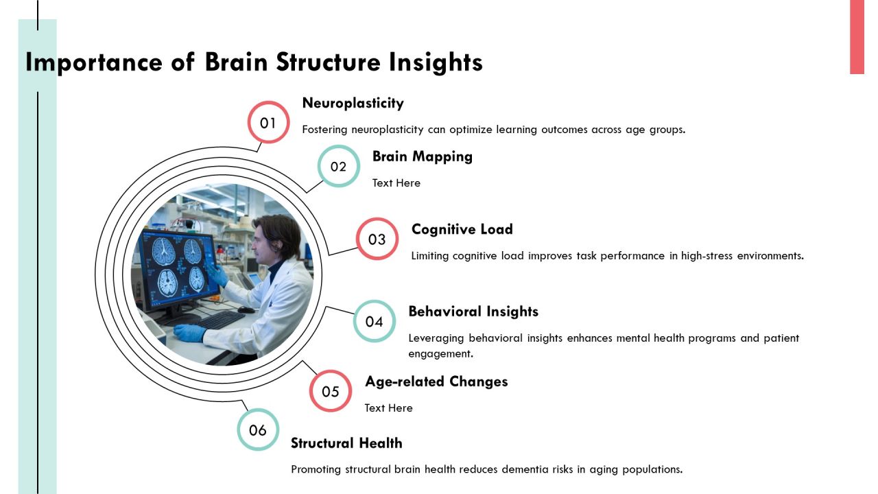 Exploring The Complexities Of Brain Architecture PPT Sample AT Slide04