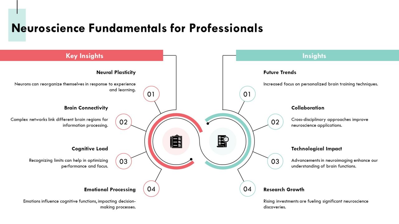 Exploring The Complexities Of Brain Architecture PPT Sample AT Slide05