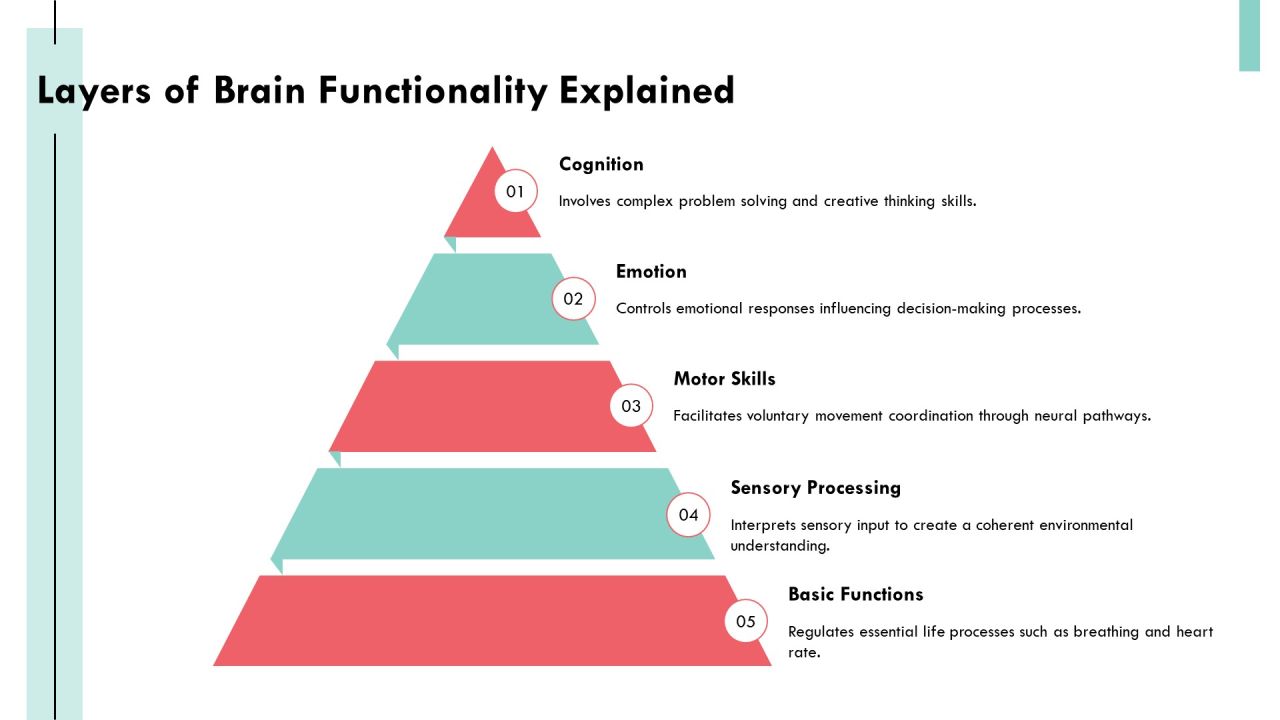 Exploring The Complexities Of Brain Architecture PPT Sample AT Slide07