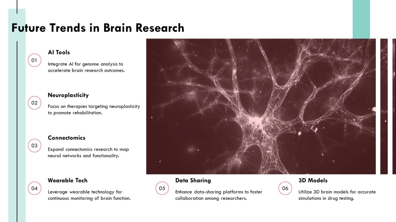 Exploring The Complexities Of Brain Architecture PPT Sample AT Slide18