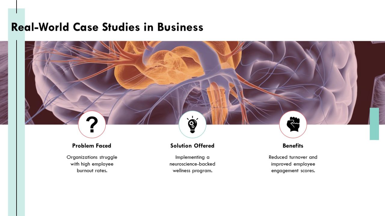 Exploring The Complexities Of Brain Architecture PPT Sample AT Slide19