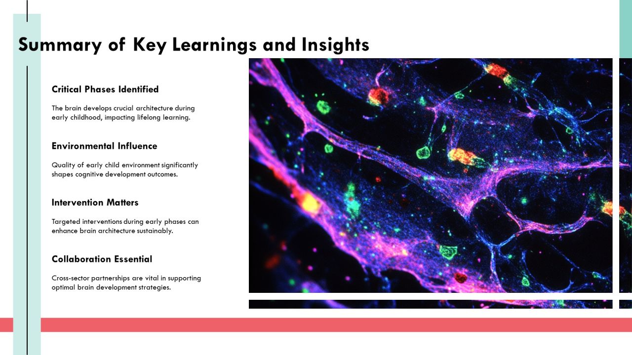 Exploring The Complexities Of Brain Architecture PPT Sample AT Slide24
