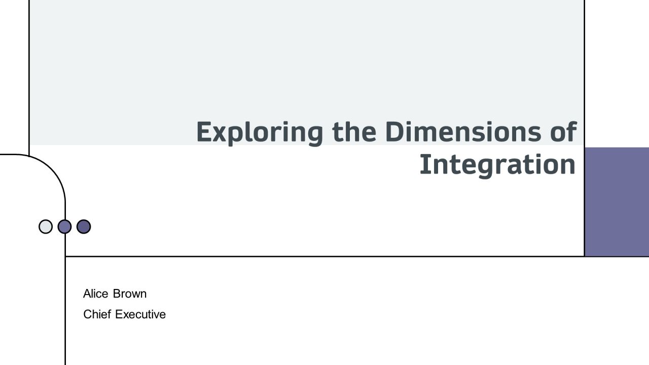 Exploring The Dimensions Of Integration PPT Sample AT