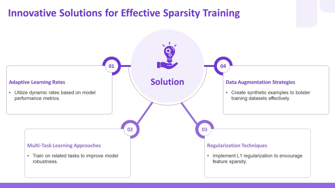 Exploring The Future Of Sparsity Training Techniques PPT Guidelines AT Slide13