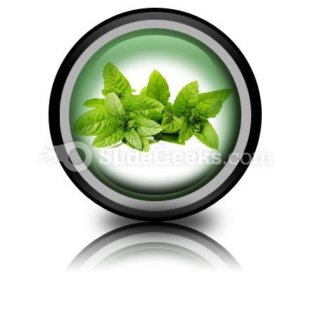 fresh_green_mint_leaves_powerpoint_icon_cc.jpg