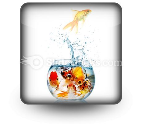 gold_fish_powerpoint_icon_s.jpg