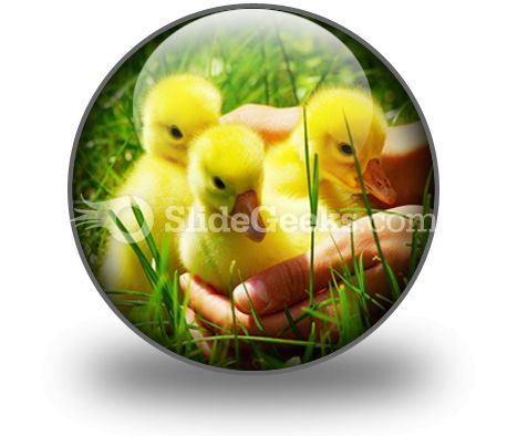 gosling_powerpoint_icon_c.jpg