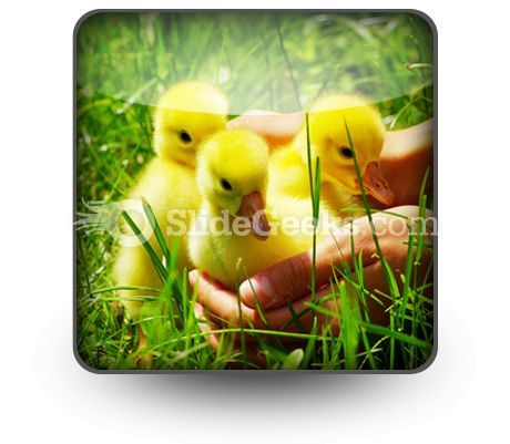 gosling_powerpoint_icon_s.jpg