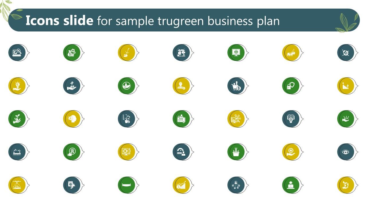Icons Slide For Sample Trugreen Business Plan BP SS V