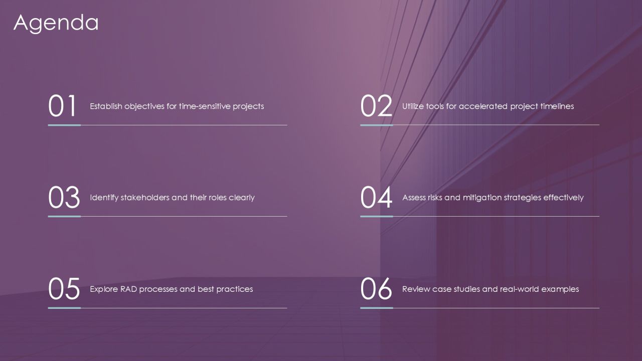 Implementing Rapid Application Development For Timely Success PPT Structure AT Slide02
