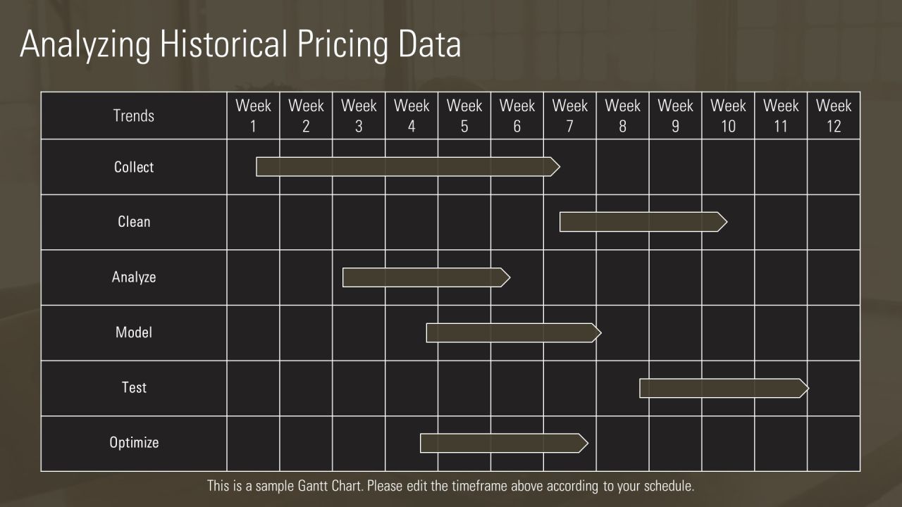 Innovations In Pricing Algorithm Development PPT Template AT Slide09