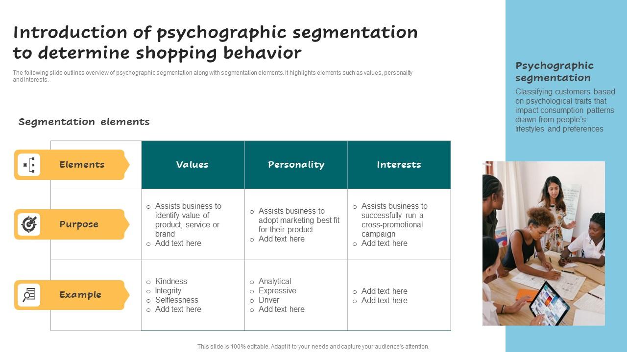 Introduction Of Psychographic Segmentation Successful Guide For Market Segmentation Icons Pdf