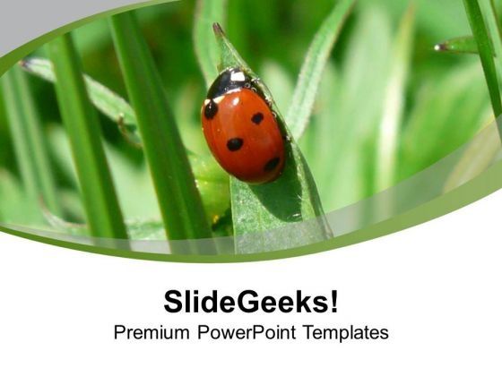 Ladybug On The Grass PowerPoint Templates Ppt Backgrounds For Slides 0713 Slide01