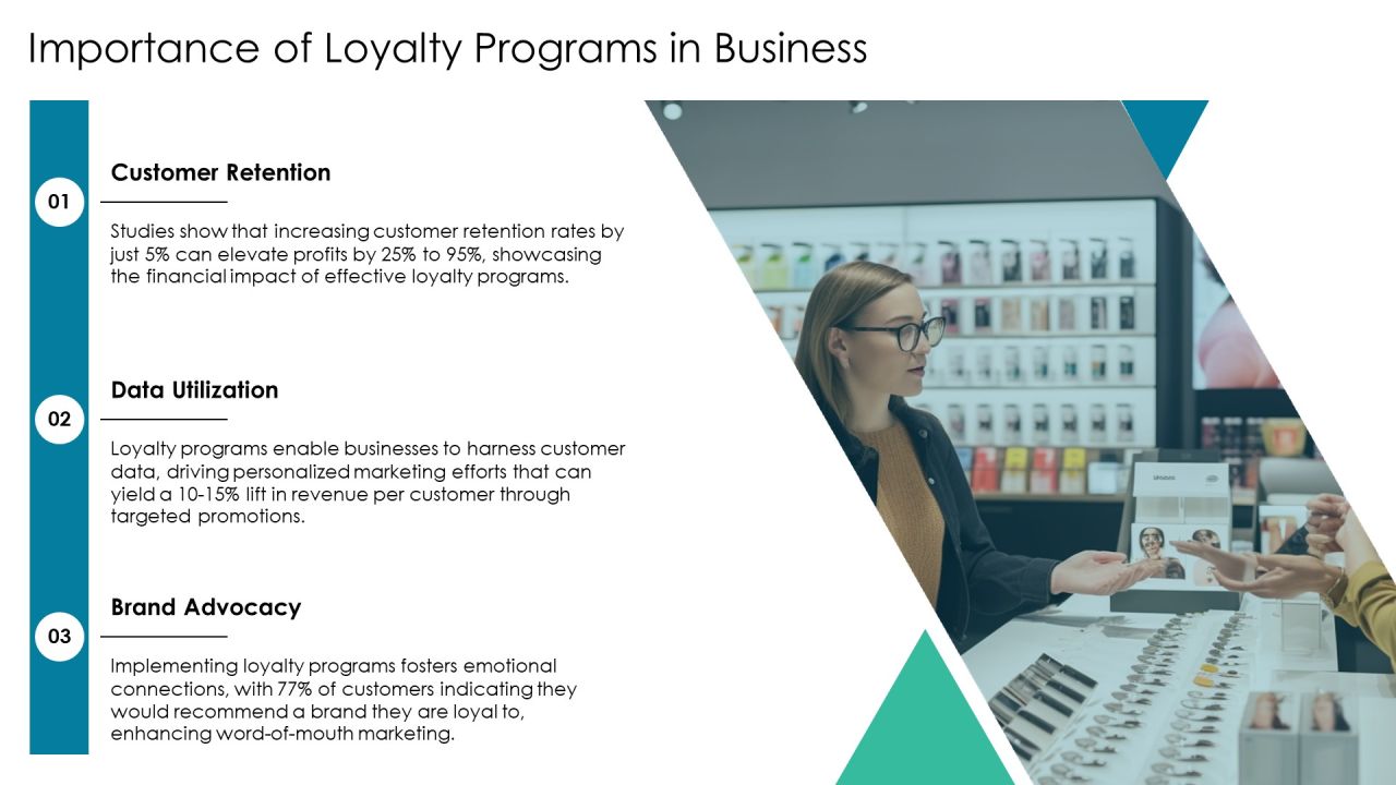 Loyalty Program Comparison Analysis Overview PPT Presentation AT Slide03