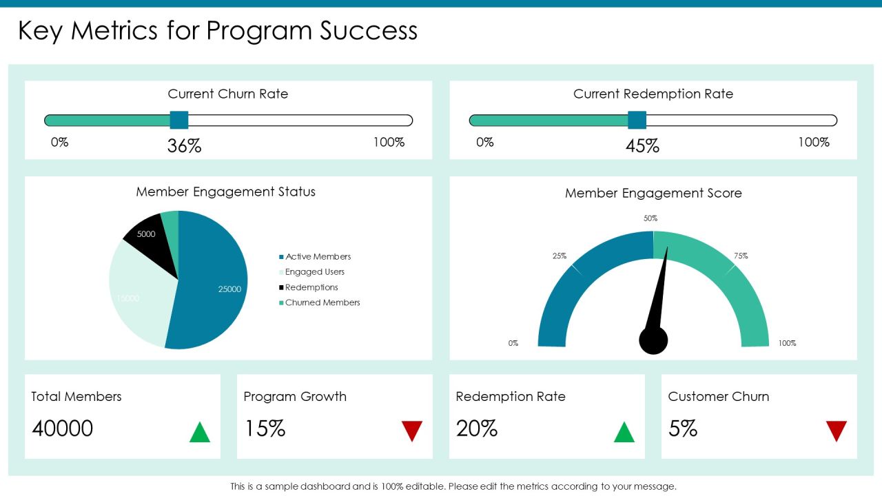 Loyalty Program Comparison Analysis Overview PPT Presentation AT Slide08