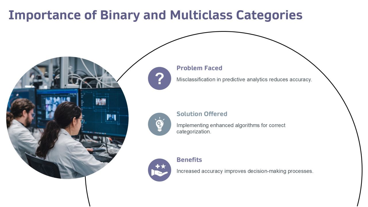 Mastering Binary And Multiclass Categories PPT Summary AT Slide03